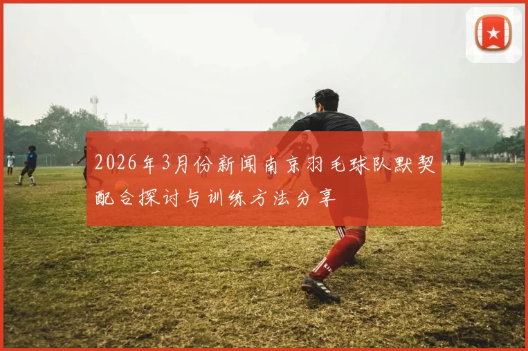 2026年3月份新闻南京羽毛球队默契配合探讨与训练方法分享