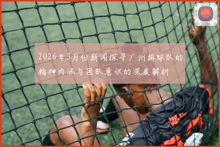 2026年3月份新闻探寻广州排球队的精神内涵与团队意识的深度解析