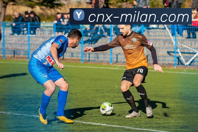 米兰体育入口平台生态图